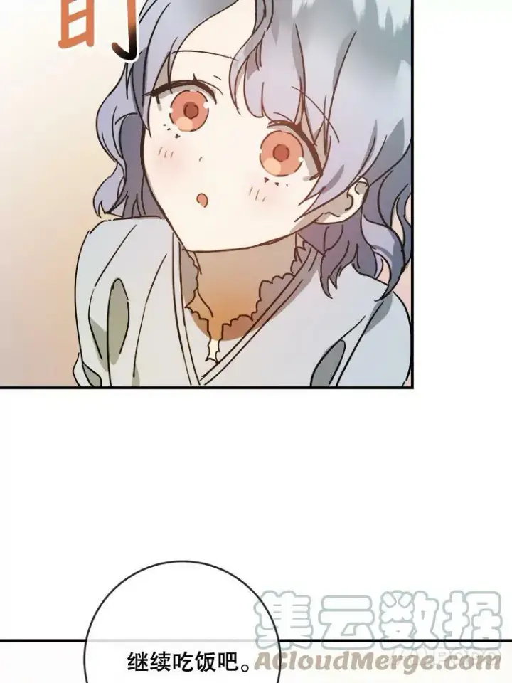 《被嫌弃的私生女》28.对伊德尔的误会图43