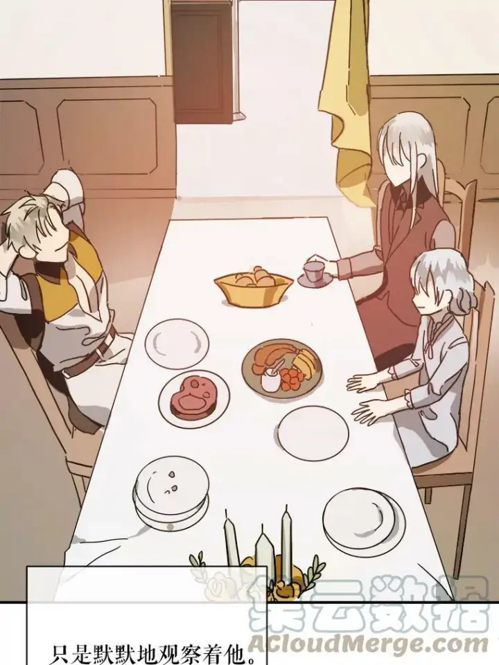 《被嫌弃的私生女》28.对伊德尔的误会图49