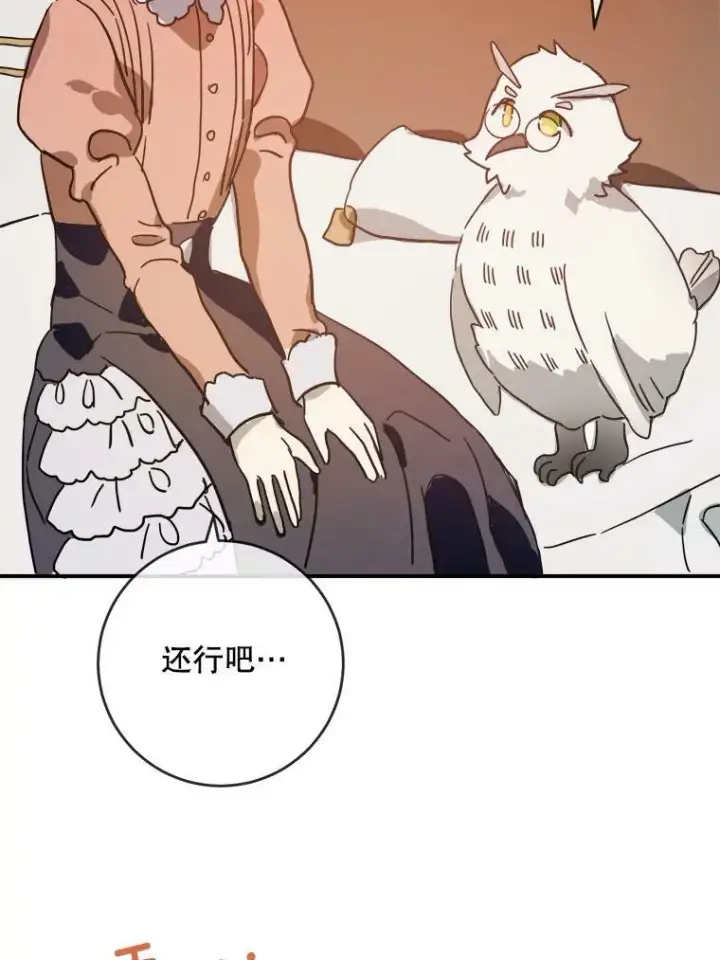 《被嫌弃的私生女》28.对伊德尔的误会图59
