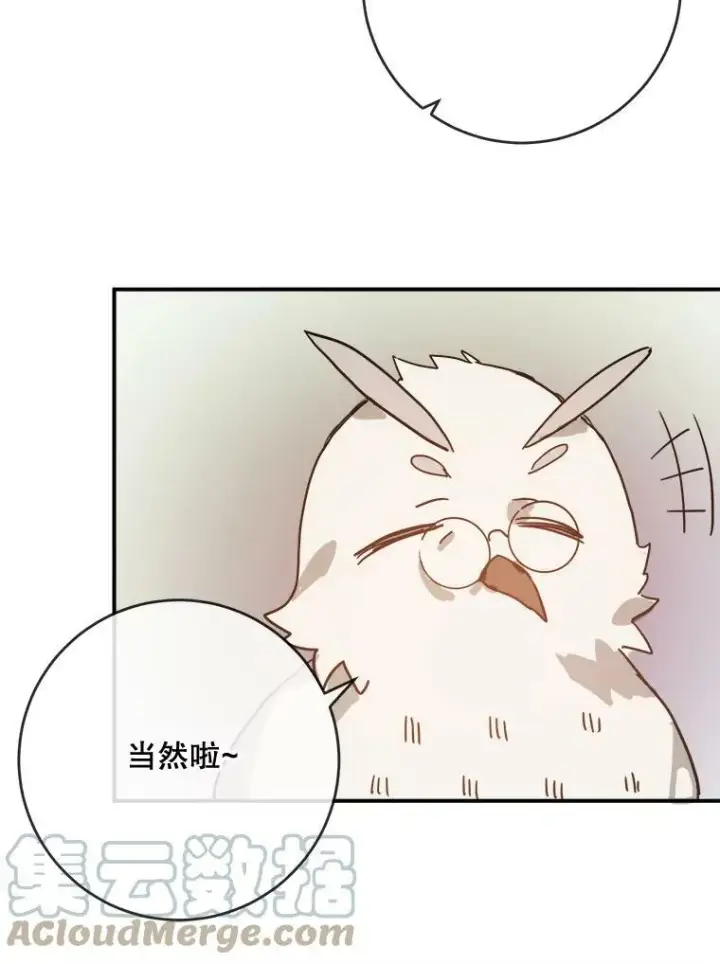 《被嫌弃的私生女》28.对伊德尔的误会图61