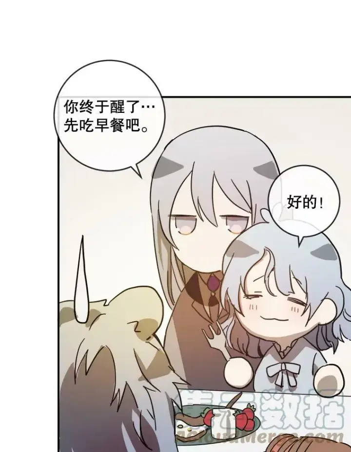 《被嫌弃的私生女》28.对伊德尔的误会图7