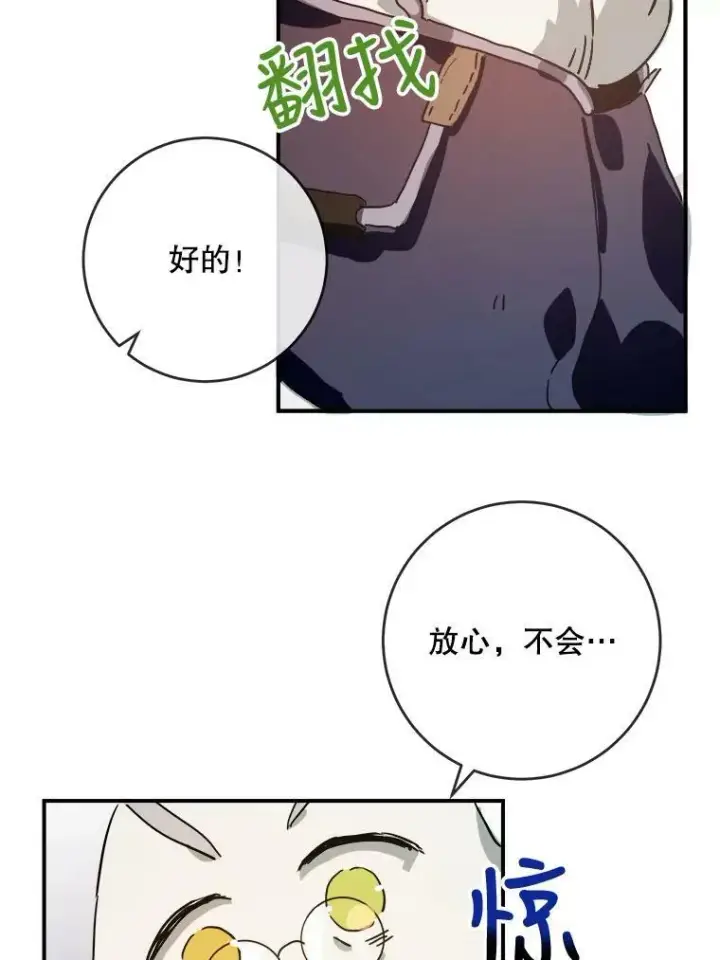 《被嫌弃的私生女》28.对伊德尔的误会图74