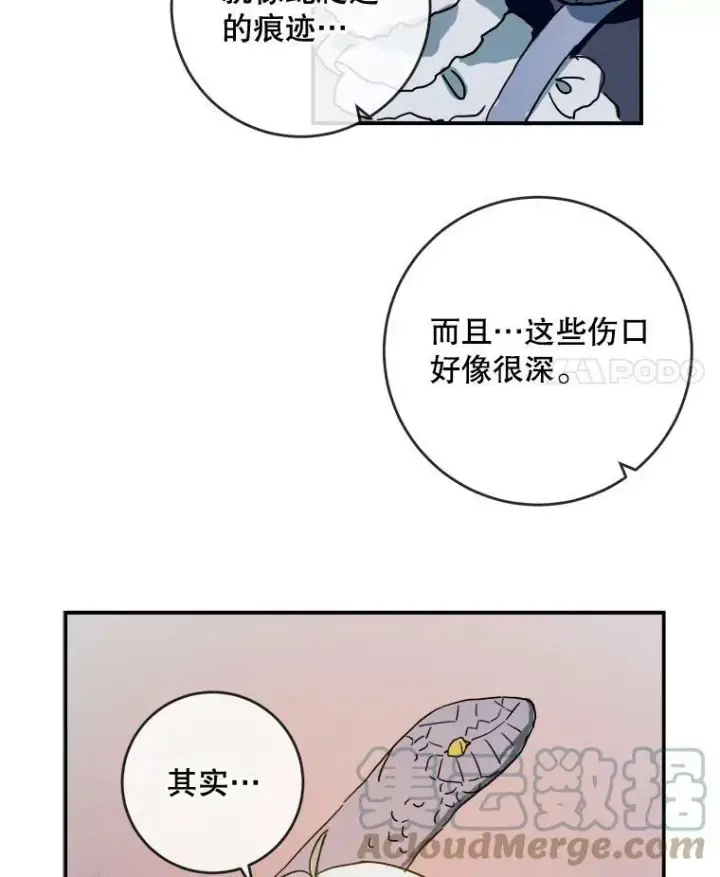 《被嫌弃的私生女》28.对伊德尔的误会图79