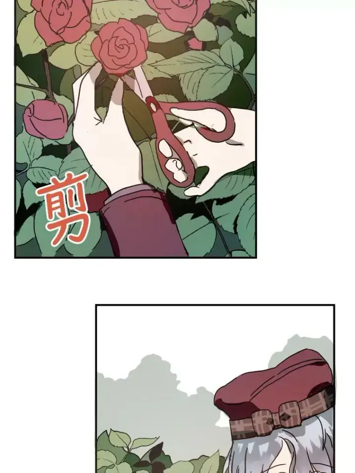 《被嫌弃的私生女》29.伤疤图71