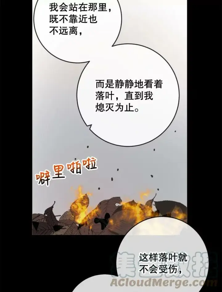 《被嫌弃的私生女》30.火焰和落叶图13