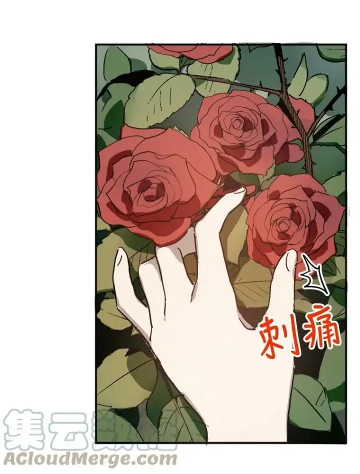 《被嫌弃的私生女》30.火焰和落叶图16