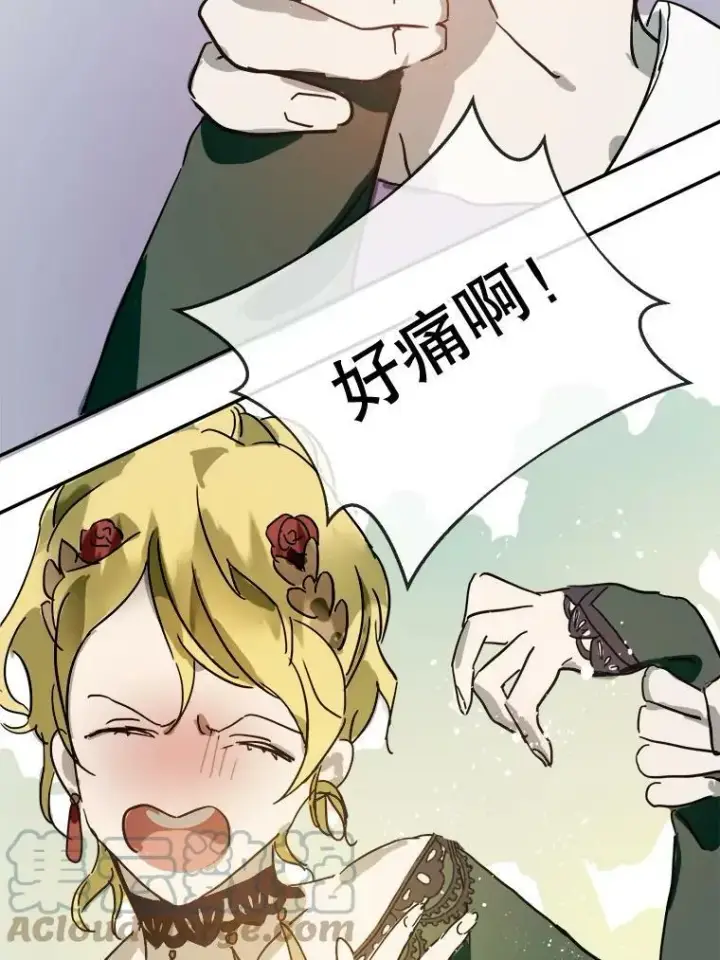 《被嫌弃的私生女》30.火焰和落叶图28