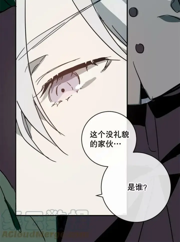 《被嫌弃的私生女》30.火焰和落叶图31