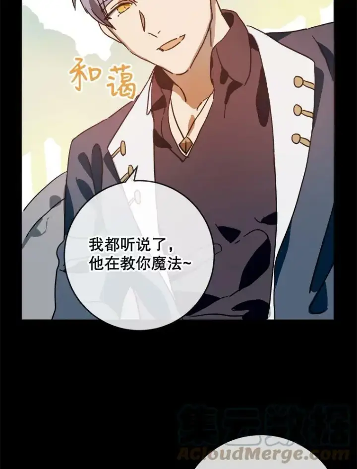 《被嫌弃的私生女》30.火焰和落叶图4