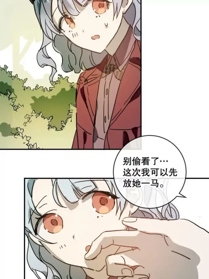 《被嫌弃的私生女》30.火焰和落叶图41