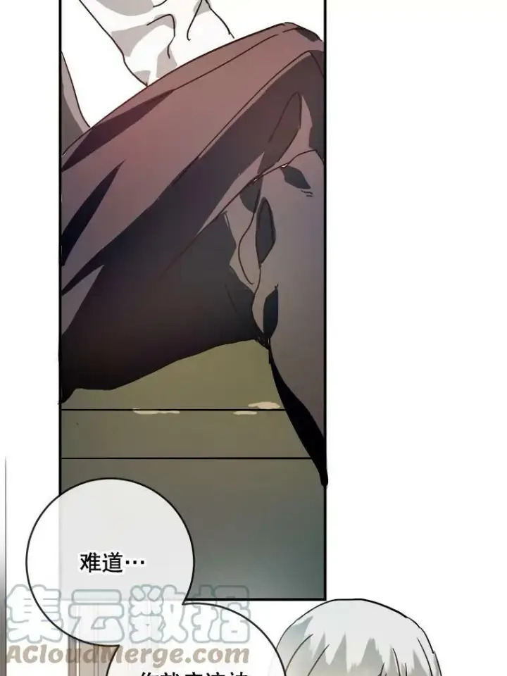 《被嫌弃的私生女》30.火焰和落叶图55