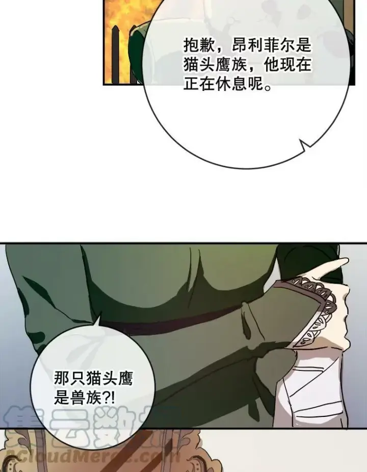 《被嫌弃的私生女》31.书里的秘密（1）图13
