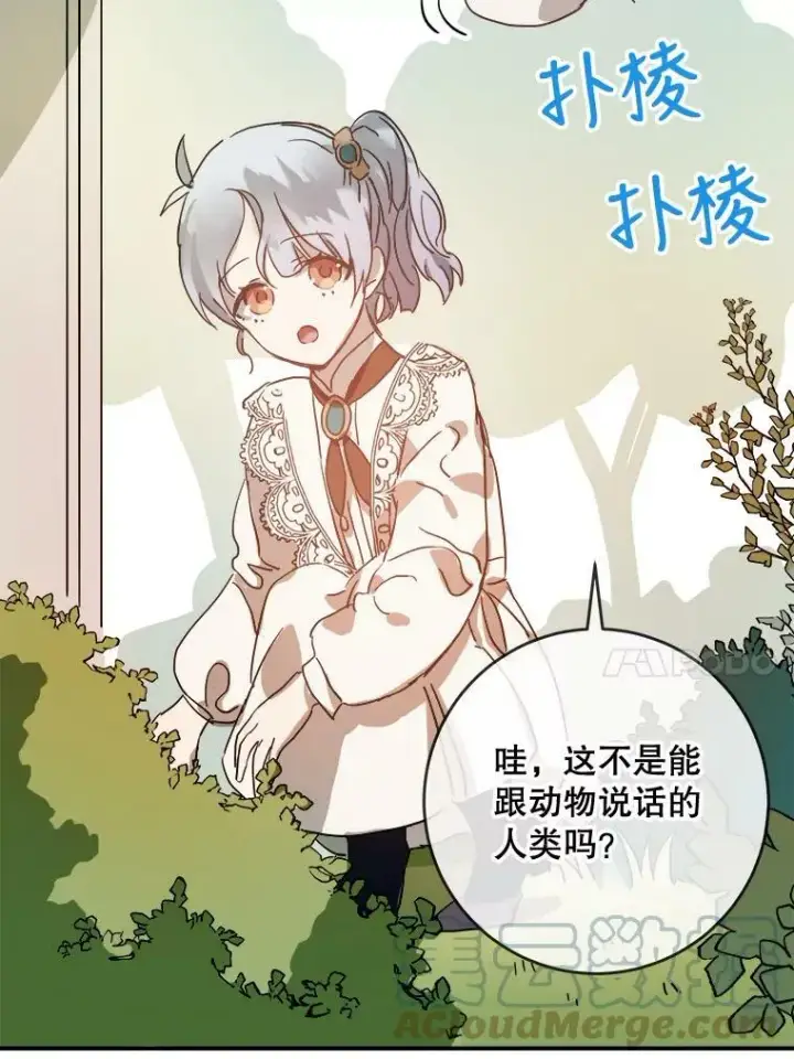 《被嫌弃的私生女》31.书里的秘密（1）图37