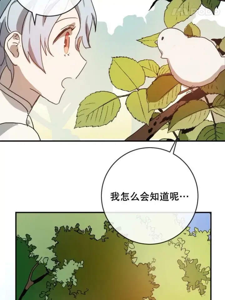 《被嫌弃的私生女》31.书里的秘密（1）图44