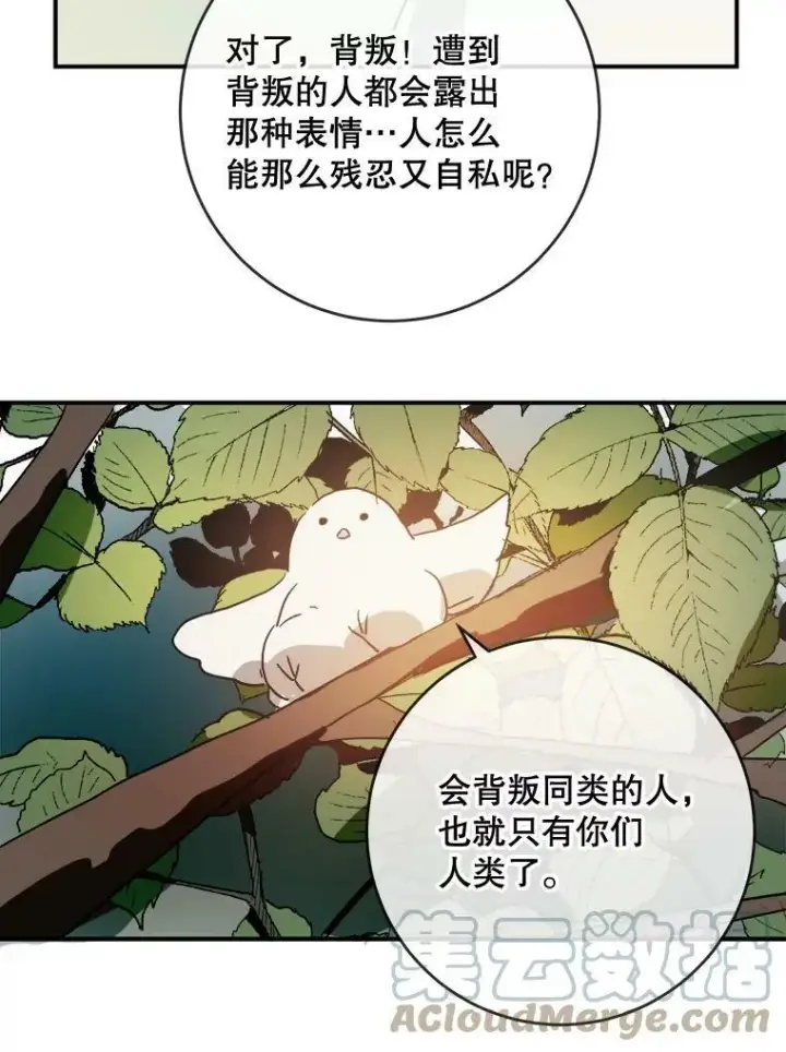 《被嫌弃的私生女》31.书里的秘密（1）图46