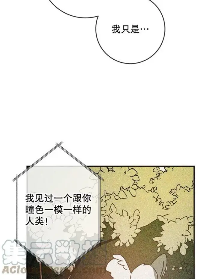 《被嫌弃的私生女》32.书里的秘密（2）图13