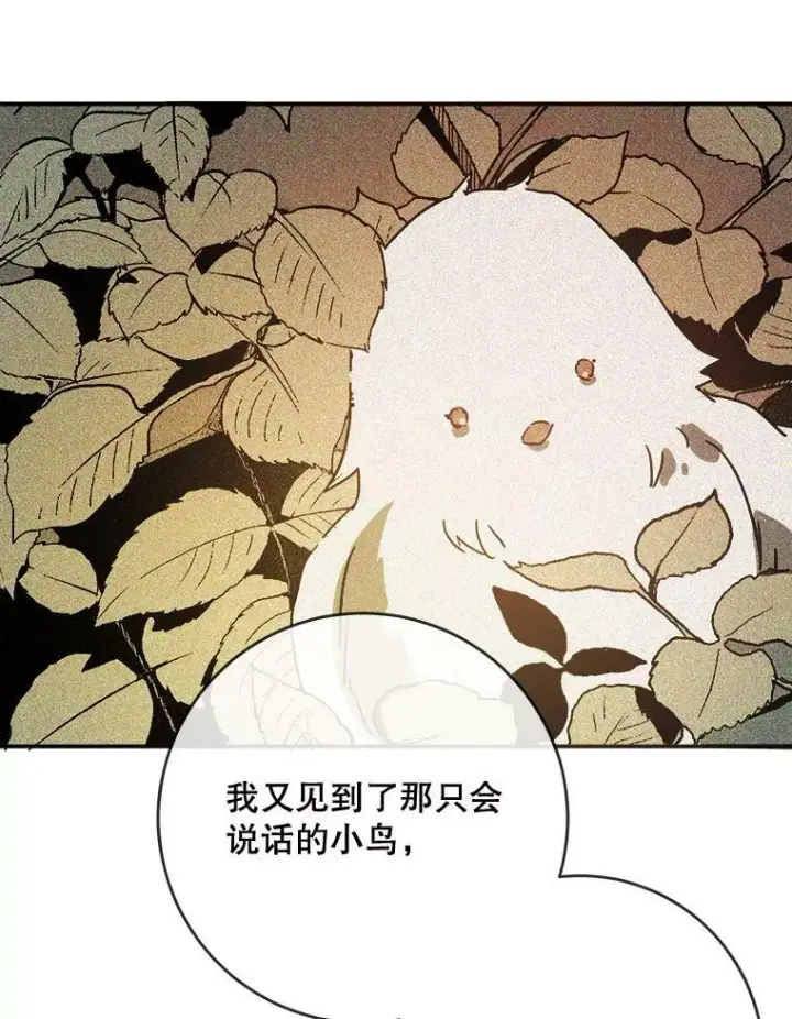 《被嫌弃的私生女》32.书里的秘密（2）图15