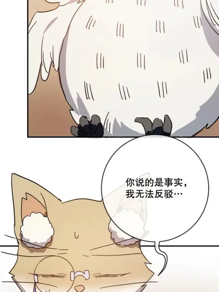 《被嫌弃的私生女》32.书里的秘密（2）图36