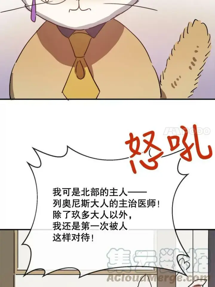 《被嫌弃的私生女》32.书里的秘密（2）图37