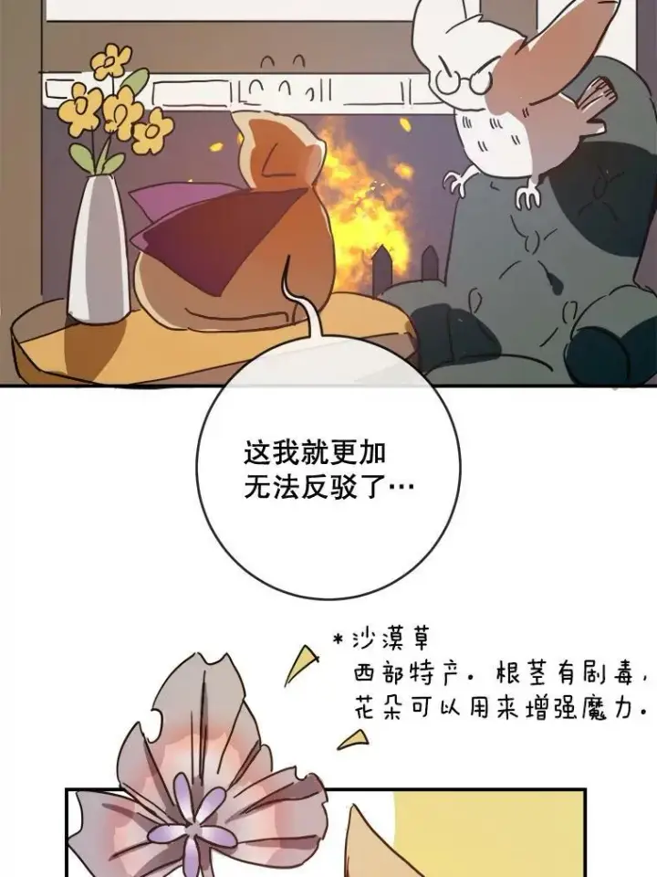 《被嫌弃的私生女》32.书里的秘密（2）图38