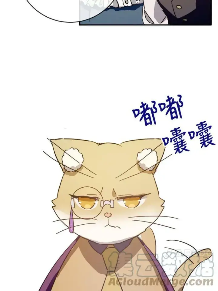 《被嫌弃的私生女》32.书里的秘密（2）图43