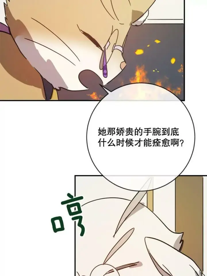 《被嫌弃的私生女》32.书里的秘密（2）图45