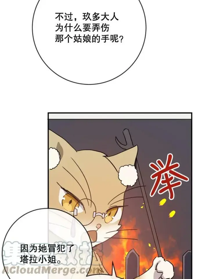 《被嫌弃的私生女》32.书里的秘密（2）图55