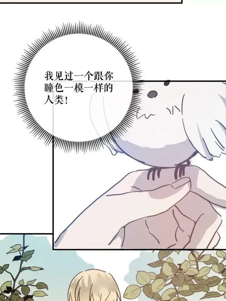 《被嫌弃的私生女》34.真实目的图75