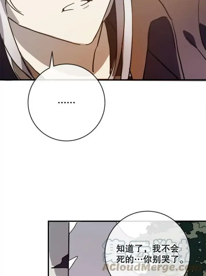 《被嫌弃的私生女》40.复仇图22