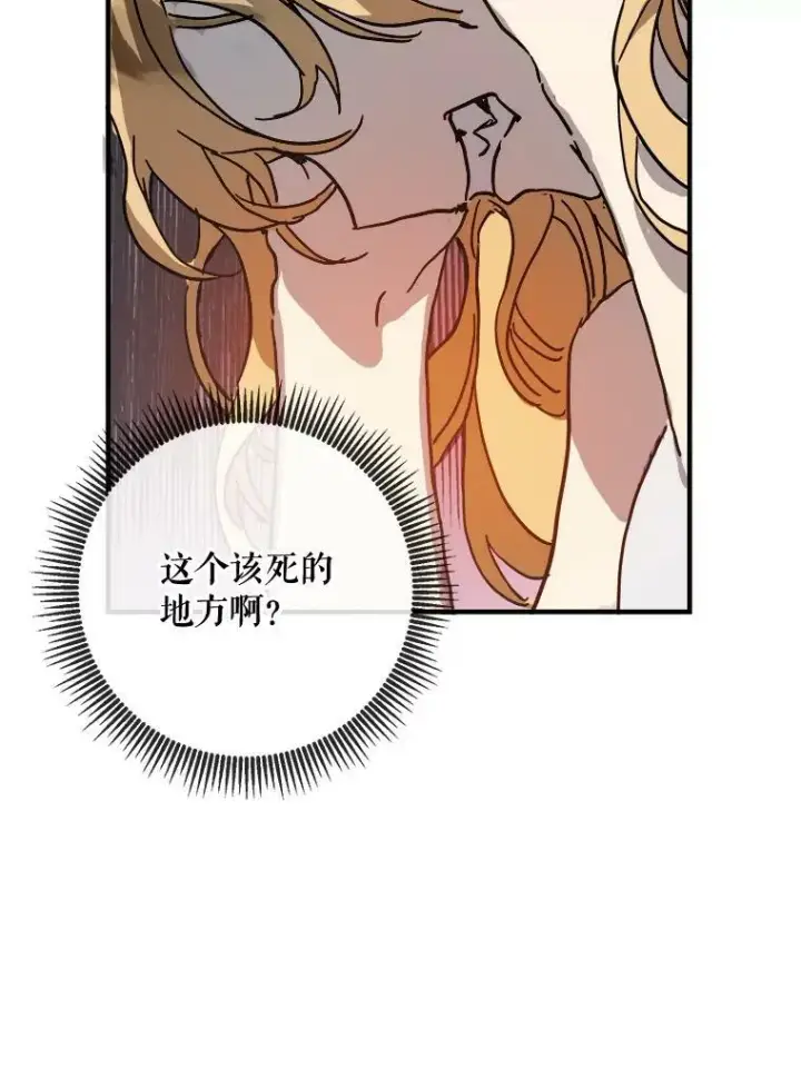 《被嫌弃的私生女》41.寻找塔拉图23