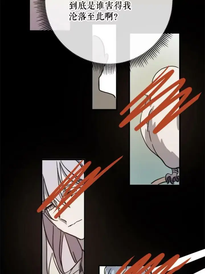 《被嫌弃的私生女》41.寻找塔拉图29