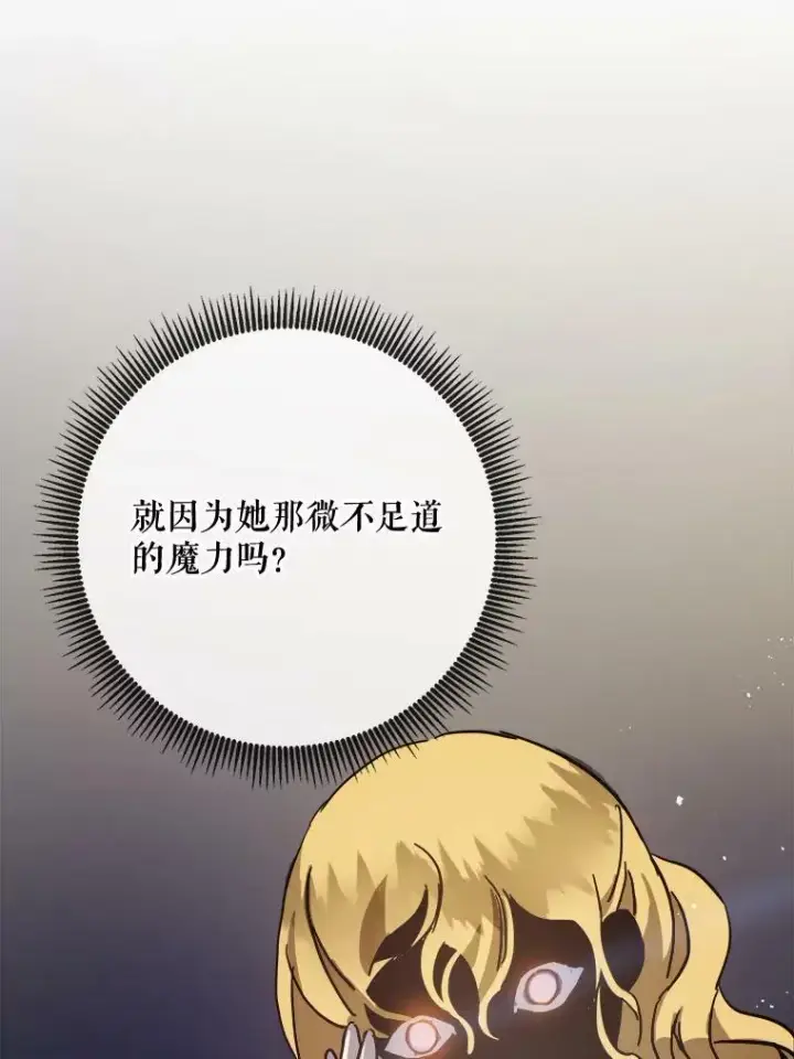 《被嫌弃的私生女》41.寻找塔拉图33