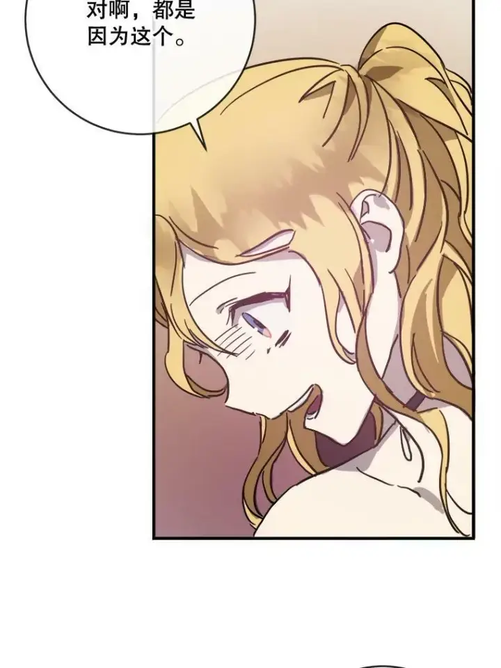 《被嫌弃的私生女》41.寻找塔拉图35