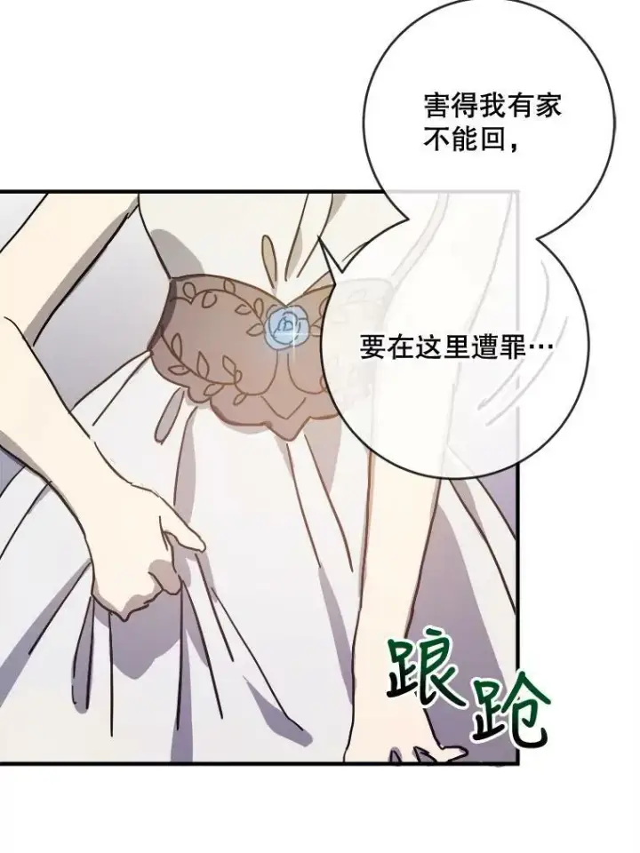 《被嫌弃的私生女》41.寻找塔拉图36
