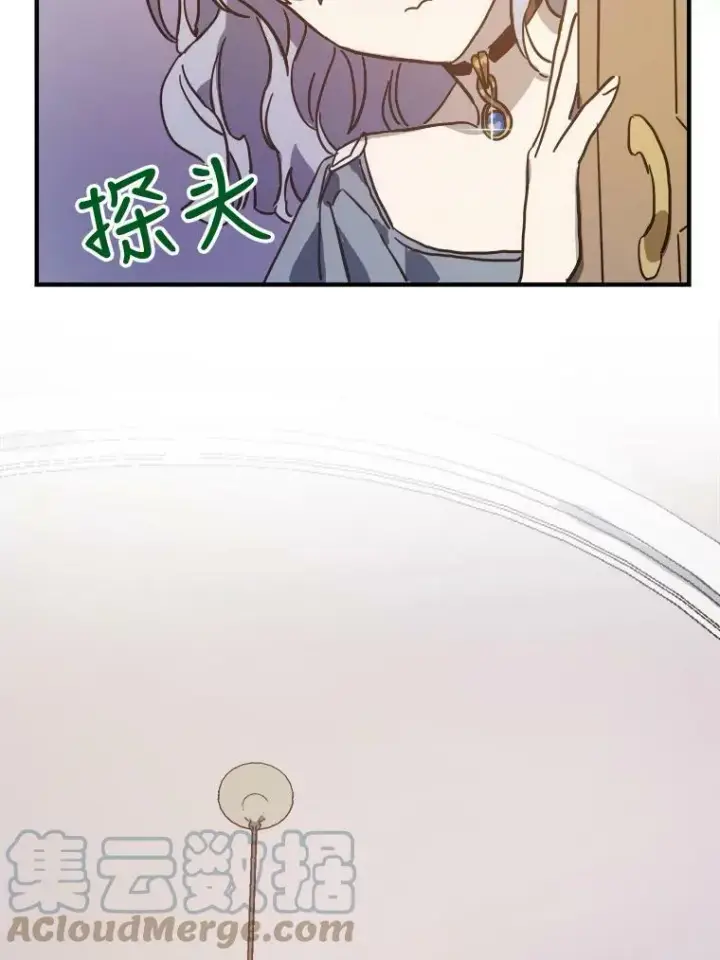 《被嫌弃的私生女》41.寻找塔拉图55