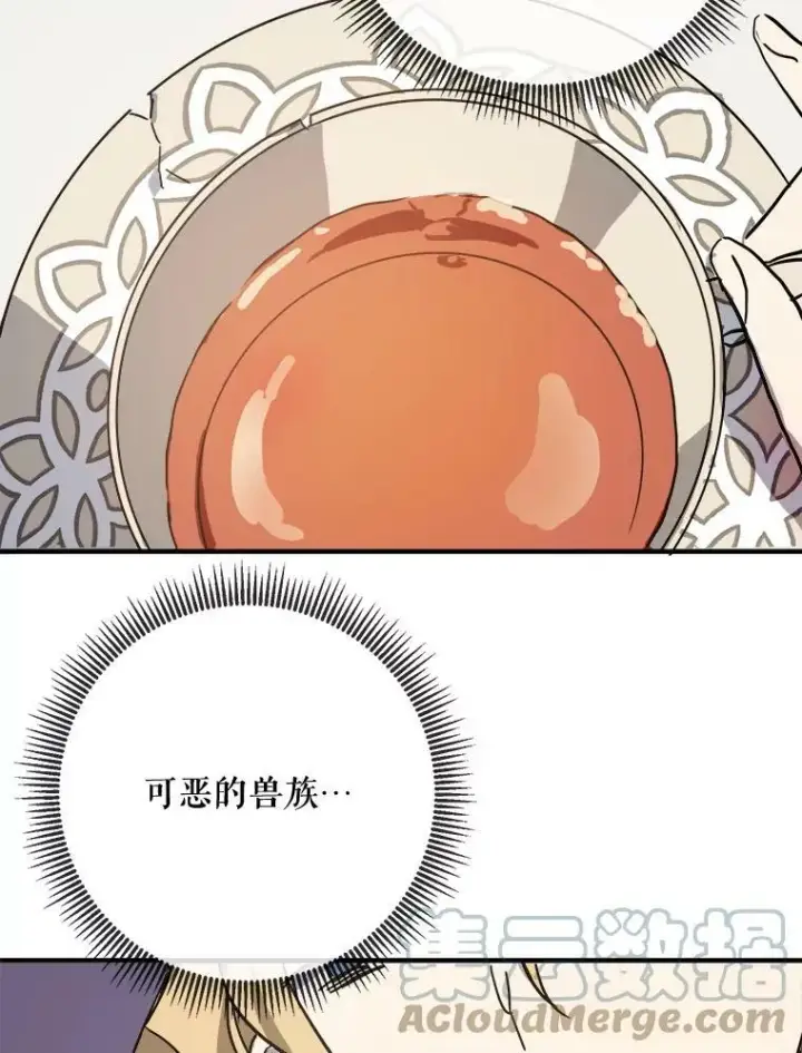 《被嫌弃的私生女》41.寻找塔拉图7