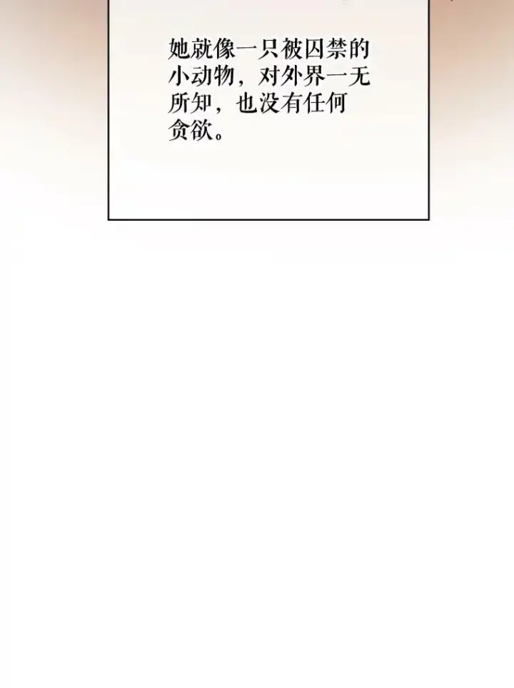 《被嫌弃的私生女》41.寻找塔拉图84