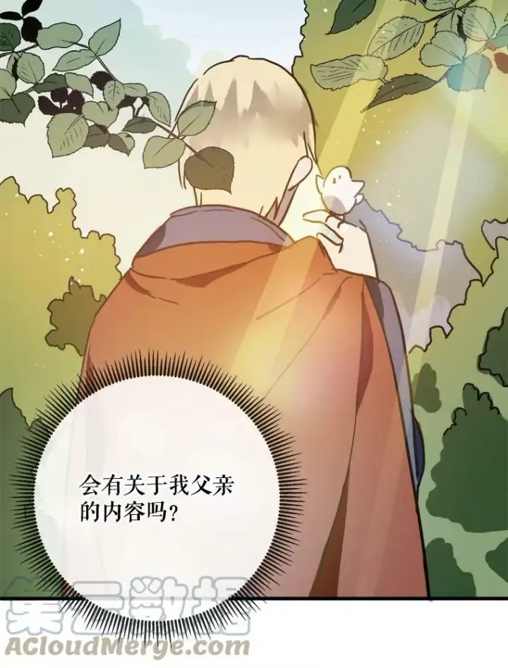 《被嫌弃的私生女》43.偶遇阿尔贝拉（1）图16
