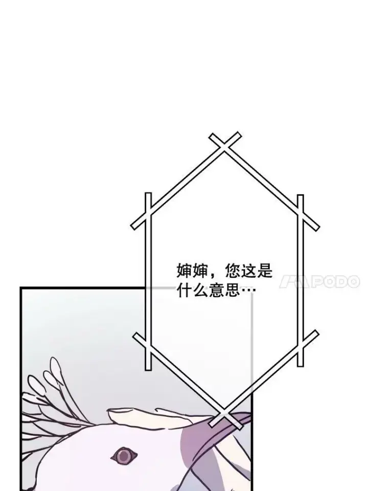 《被嫌弃的私生女》44.偶遇阿尔贝拉（2）图63