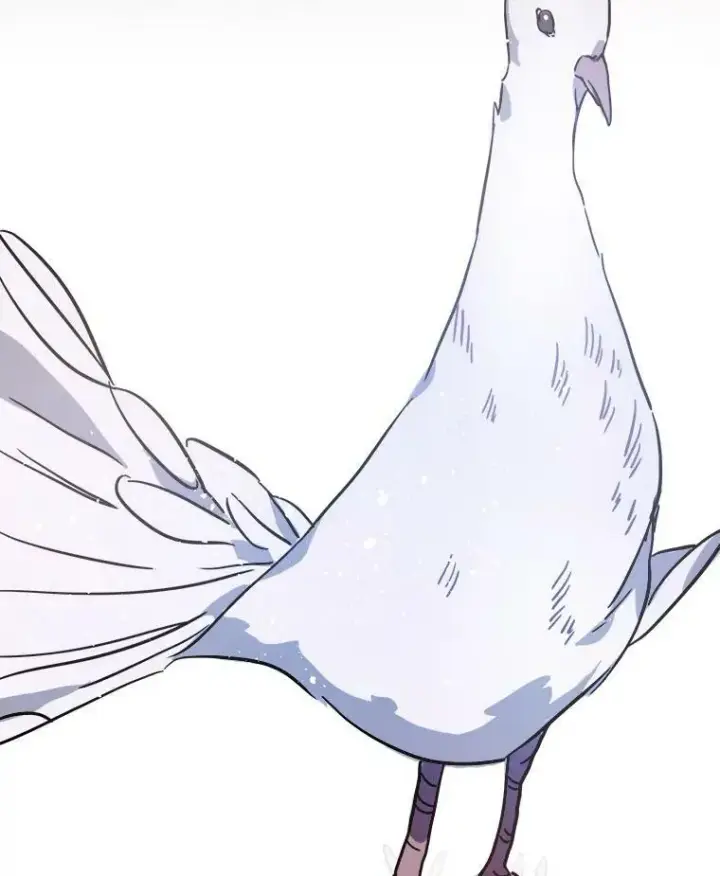 《被嫌弃的私生女》44.偶遇阿尔贝拉（2）图84