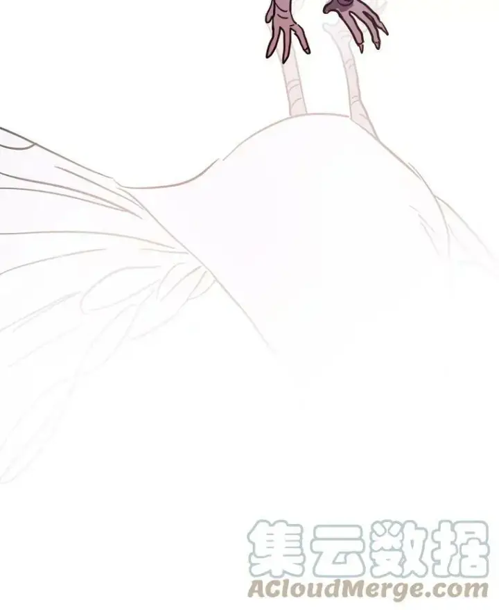 《被嫌弃的私生女》44.偶遇阿尔贝拉（2）图85