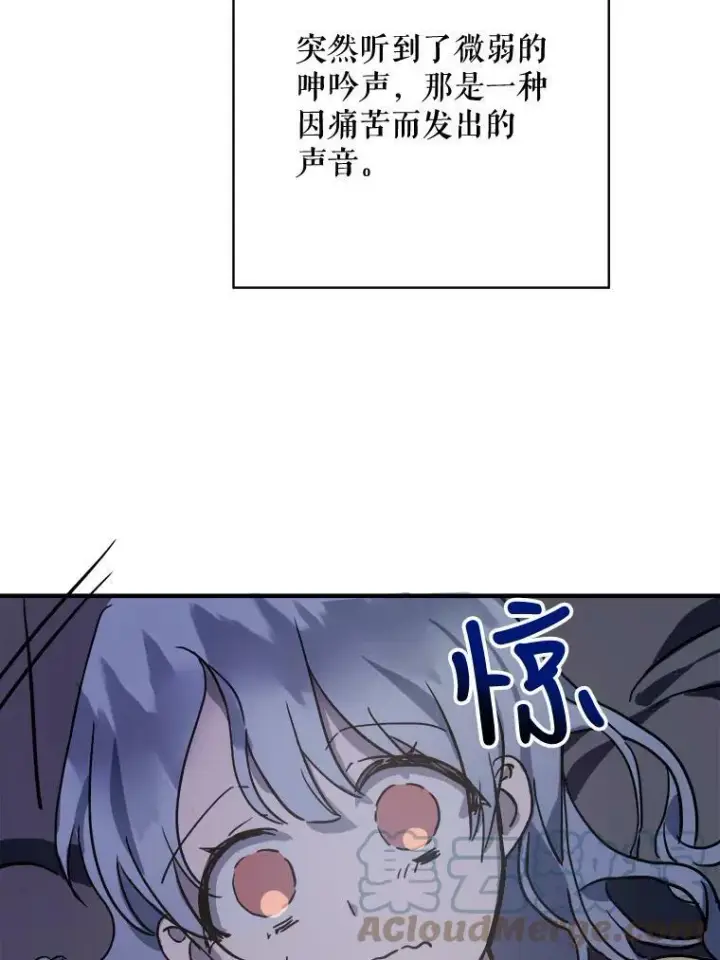 《被嫌弃的私生女》45.奇怪的声音图40