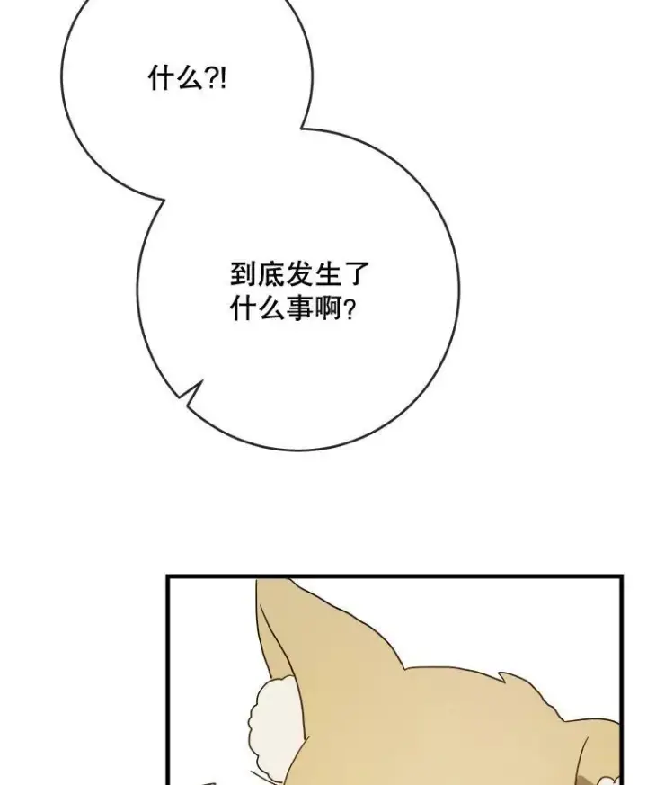 《被嫌弃的私生女》50.正面冲突（3）图95