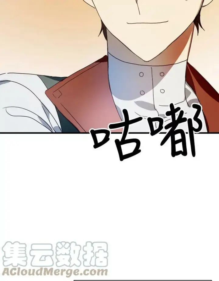 《被嫌弃的私生女》51.塔拉的魔力图33