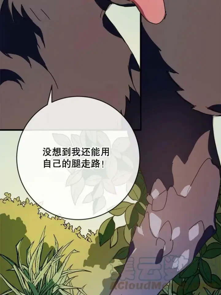《被嫌弃的私生女》51.塔拉的魔力图77