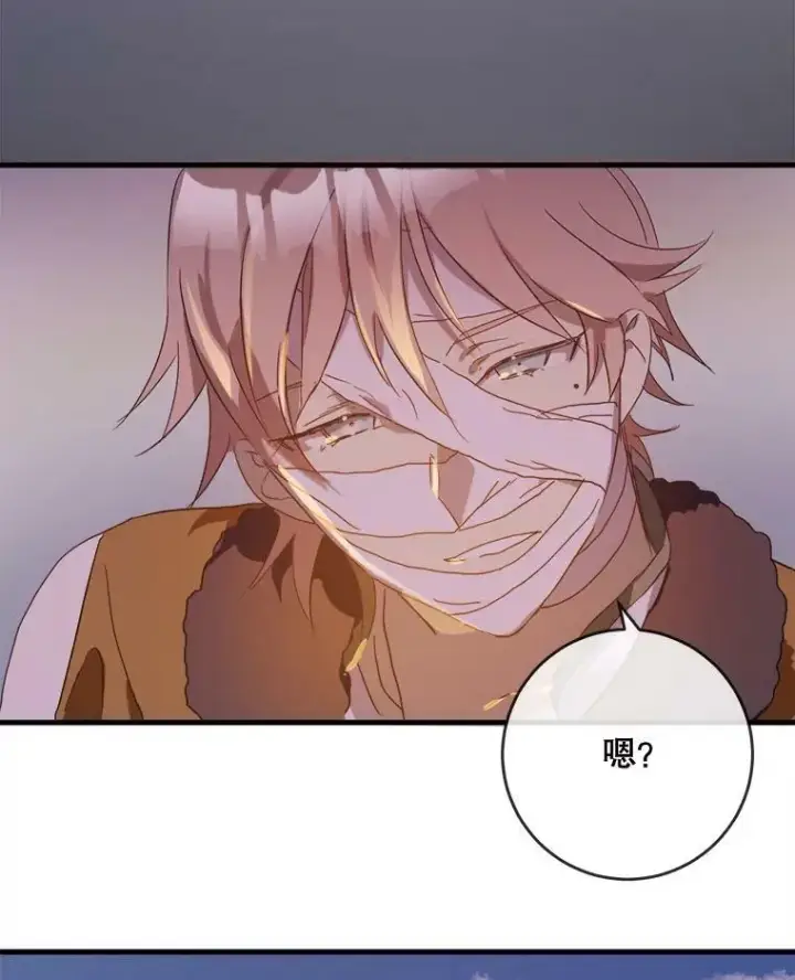 《被嫌弃的私生女》52.玖多回城图102