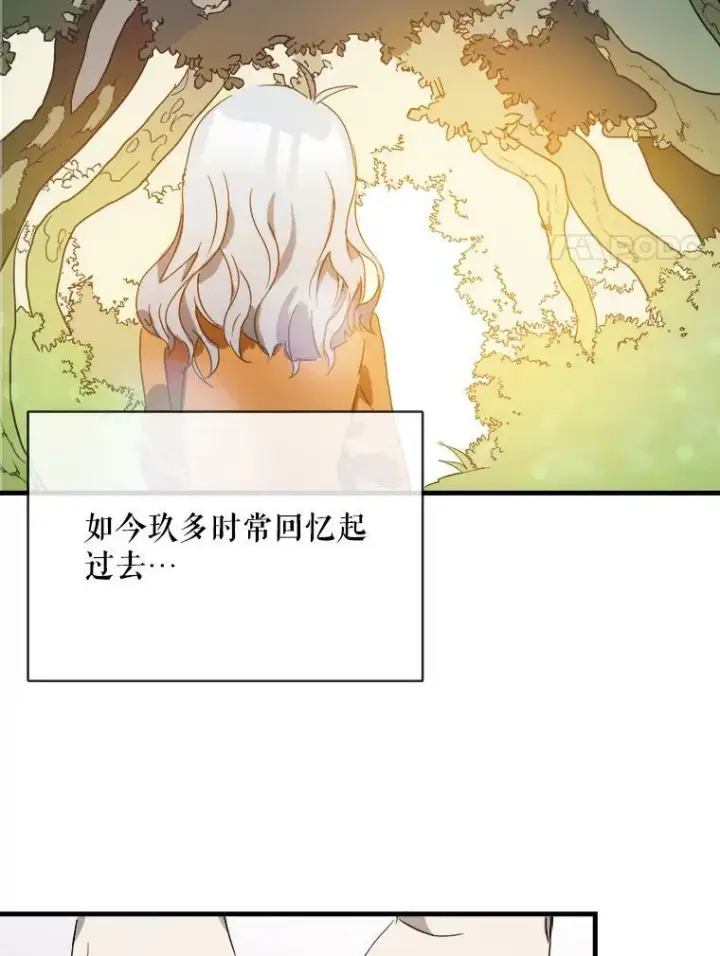 《被嫌弃的私生女》52.玖多回城图87