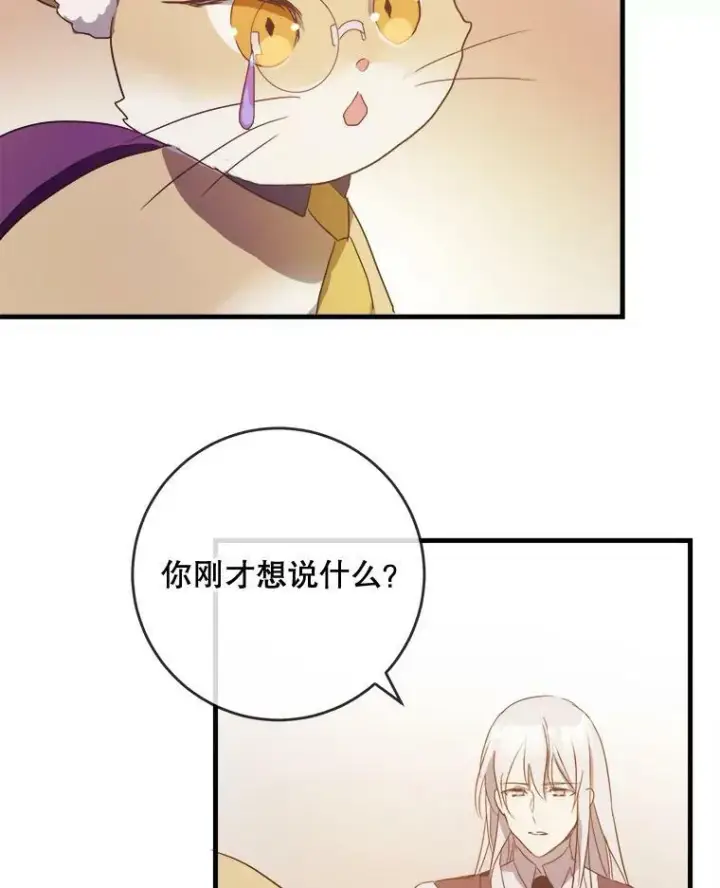《被嫌弃的私生女》52.玖多回城图99