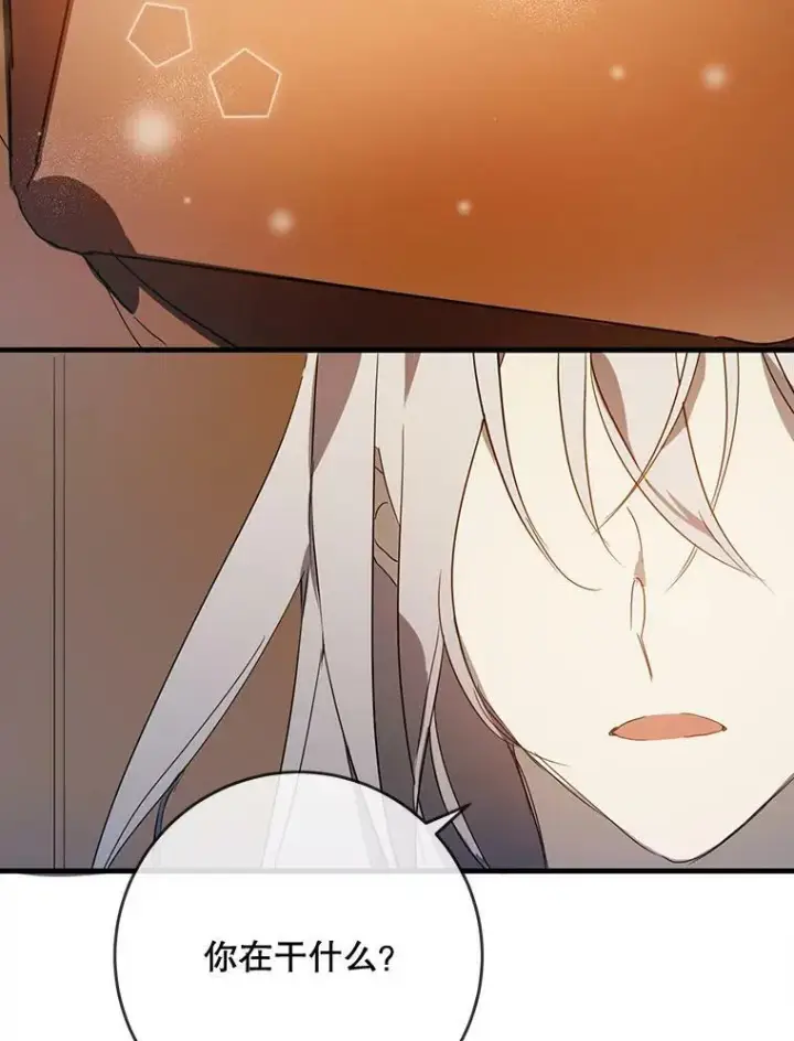 《被嫌弃的私生女》54.被抢走的三明治图28