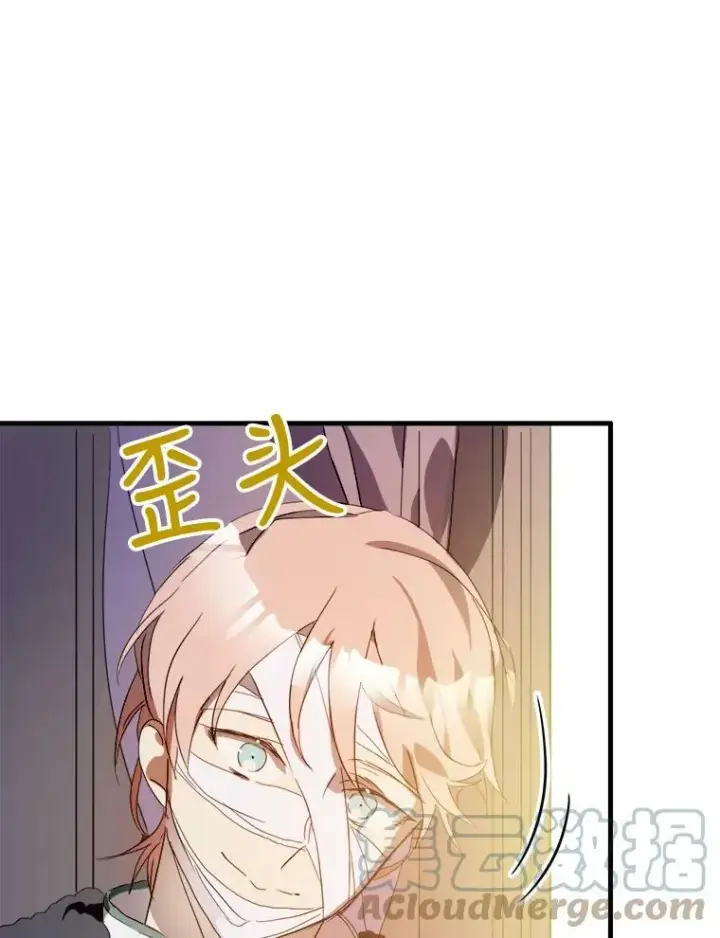 《被嫌弃的私生女》54.被抢走的三明治图37